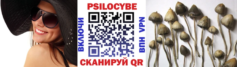 Псилоцибиновые грибы Magic Shrooms  Электросталь 